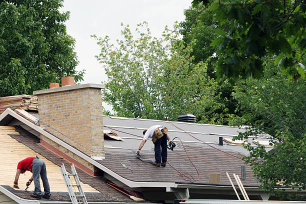 Best Roof Gutter Cleaning  in Summit Park, UT